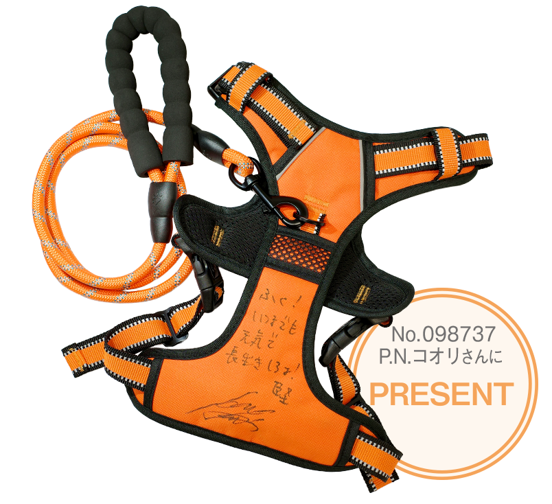 No.098737 P.N.コオリ